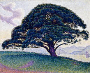 Bonaventure-furuen, 1893